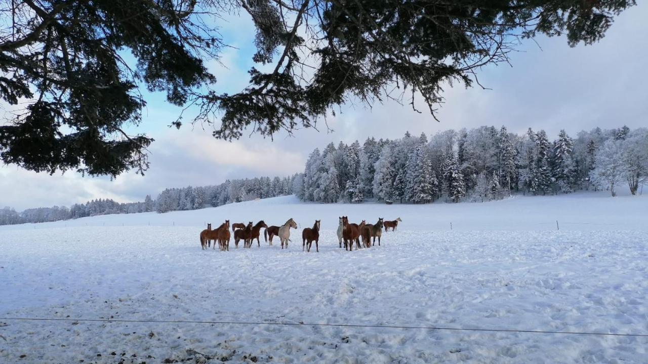 Gite Rural 1666 Saignelégier Exteriér fotografie